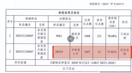 金龍魚水質檢測各項指標值（金龍魚水質檢測中常見的指標及其適宜范圍）