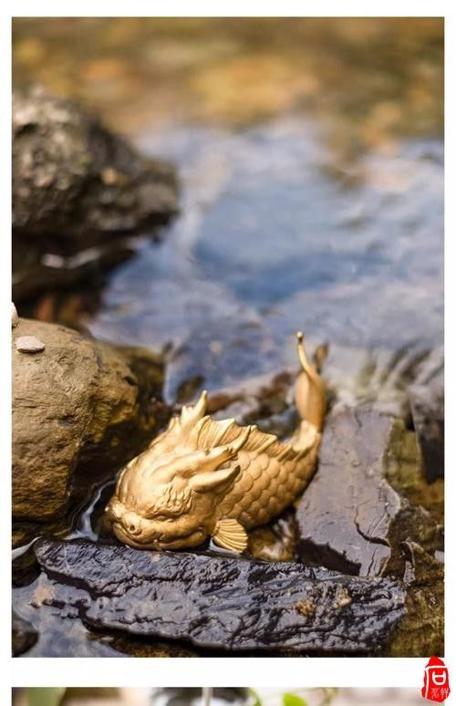 龍魚魚缸布景圖片大全集