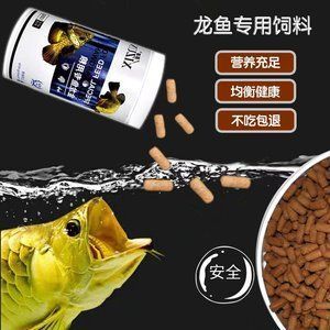 龍魚(yú)不吃魚(yú)糧怎么回事：龍魚(yú)不吃食怎么辦