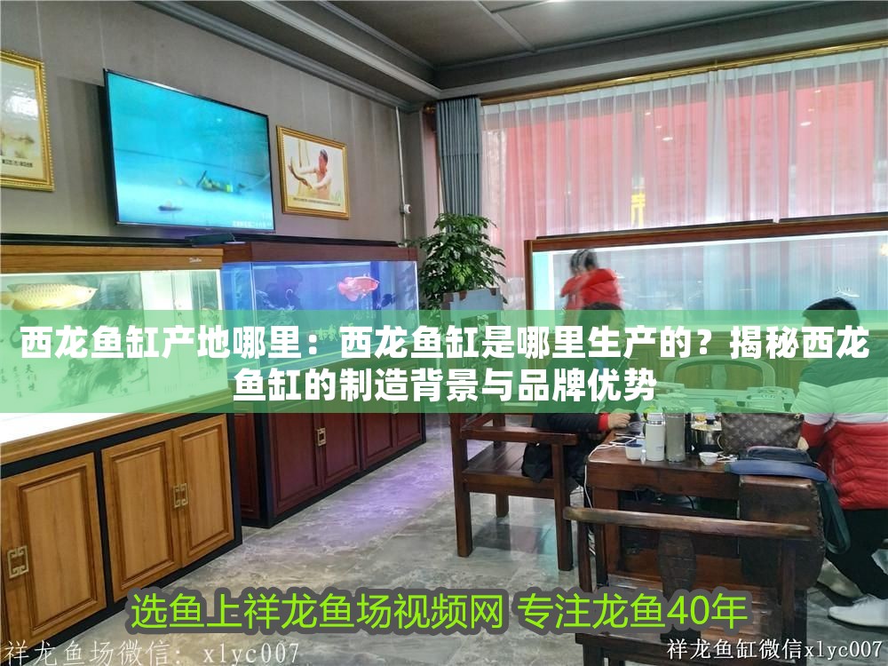西龍魚缸產地哪里：西龍魚缸是哪里生產的？揭秘西龍魚缸的制造背景與品牌優勢