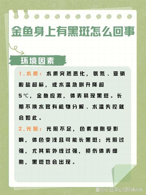 金龍魚長黑斑