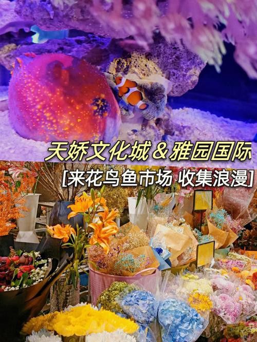 北京買龍魚的地方