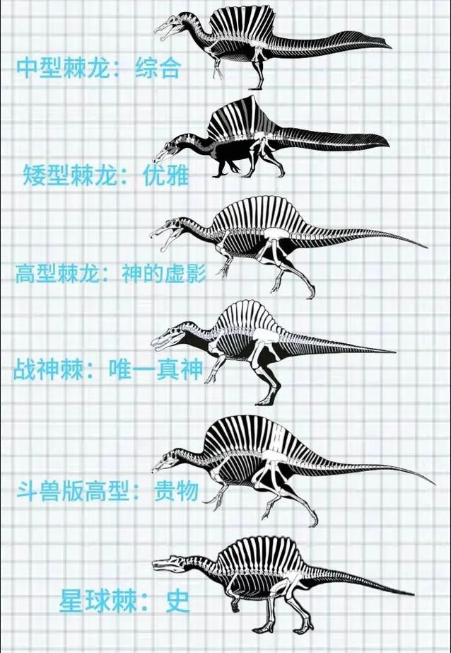 給我一些高清的鱷魚恐龍圖片 龍魚百科 第3張 給我一些高清的鱷魚恐龍圖片 給我一些高清的鱷魚恐龍圖片 龍魚百科 第3張
