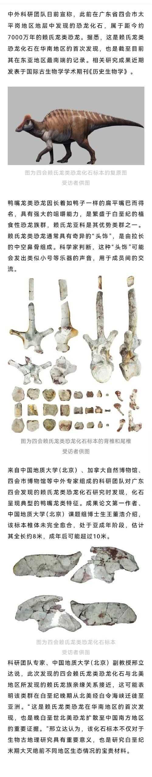 給我一些高清的鱷魚恐龍圖片 龍魚百科 第39張 給我一些高清的鱷魚恐龍圖片 給我一些高清的鱷魚恐龍圖片 龍魚百科 第39張