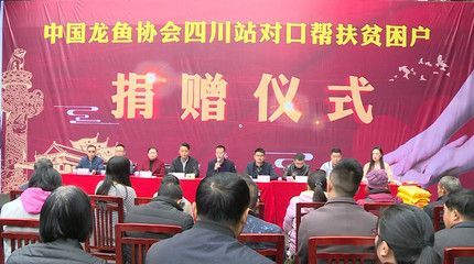 關于中國龍魚協(xié)會官網(wǎng)首頁的問題：中國龍魚協(xié)會官網(wǎng)首頁搜索結果中國龍魚協(xié)會官網(wǎng)首頁