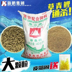 如何選擇優(yōu)質(zhì)的魚餌料：春季釣魚用什么魚餌好肥水塘釣魚餌料保存技巧有哪些