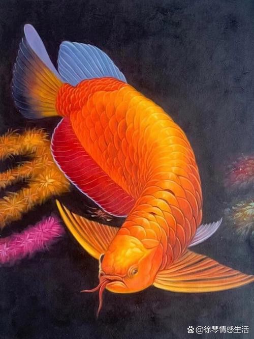 有沒有適合手機的龍魚高清壁紙？