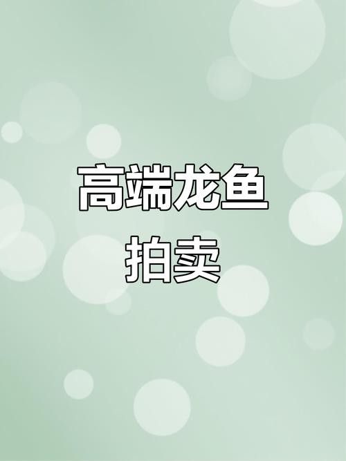 金龍魚拍賣紀(jì)錄