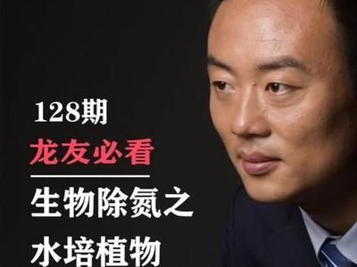 龍魚缸如何開缸養(yǎng)水培植物（龍魚缸水草養(yǎng)護(hù)技巧）