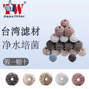 龍魚缸如何開缸養(yǎng)水培植物（龍魚缸水草養(yǎng)護(hù)技巧）