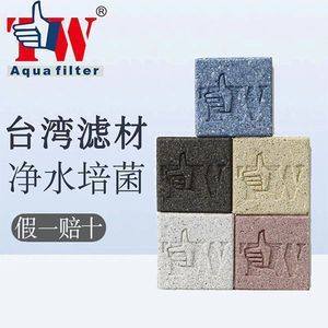 龍魚缸如何開缸養(yǎng)水培植物（龍魚缸水草養(yǎng)護(hù)技巧）