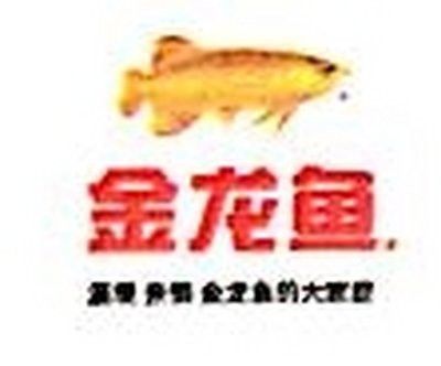 金龍魚蘇州公司怎么樣啊