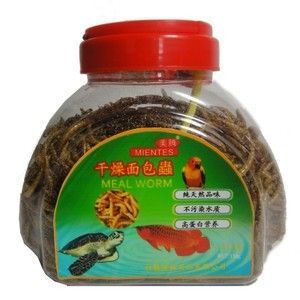 龍魚專用飼料哪個牌子的好吃點呢：龍魚專用飼料品牌推薦