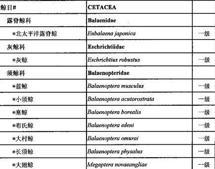 藍鯨最大有多少米