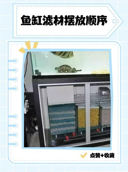 養龍魚濾材放什么合適