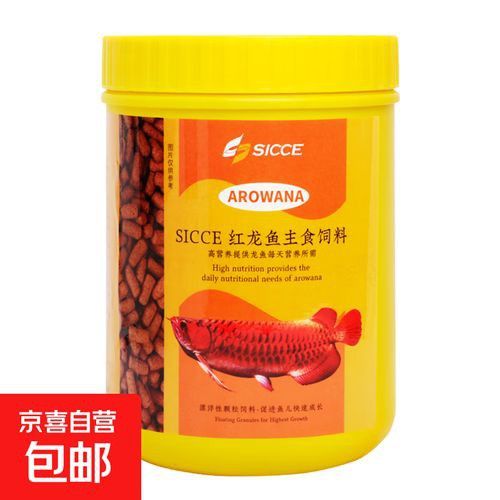印尼紅龍魚喂養方法圖片大全