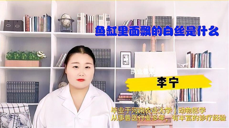 龍魚缸里有白色絮狀物是什么東西