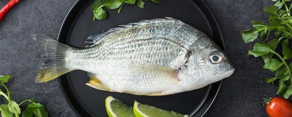 龍魚魚缸水位高度多少合適養魚：龍魚魚缸水位高度多少合適？