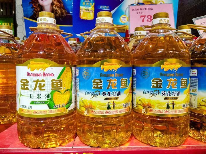 金龍魚經銷商賺錢嗎知乎推薦