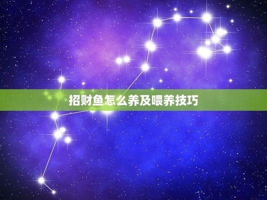 龍魚和招財魚:龍魚和招財魚混養注意事項龍魚招財魚風水寓意解析 龍魚百科 第4張 龍魚和招財魚:龍魚和招財魚混養注意事項龍魚招財魚風水寓意解析 龍魚和招財魚:龍魚和招財魚混養注意事項龍魚招財魚風水寓意解析 龍魚百科 第4張