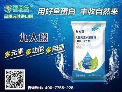 龍魚經營許可證：龍魚養殖經營許可證辦理流程
