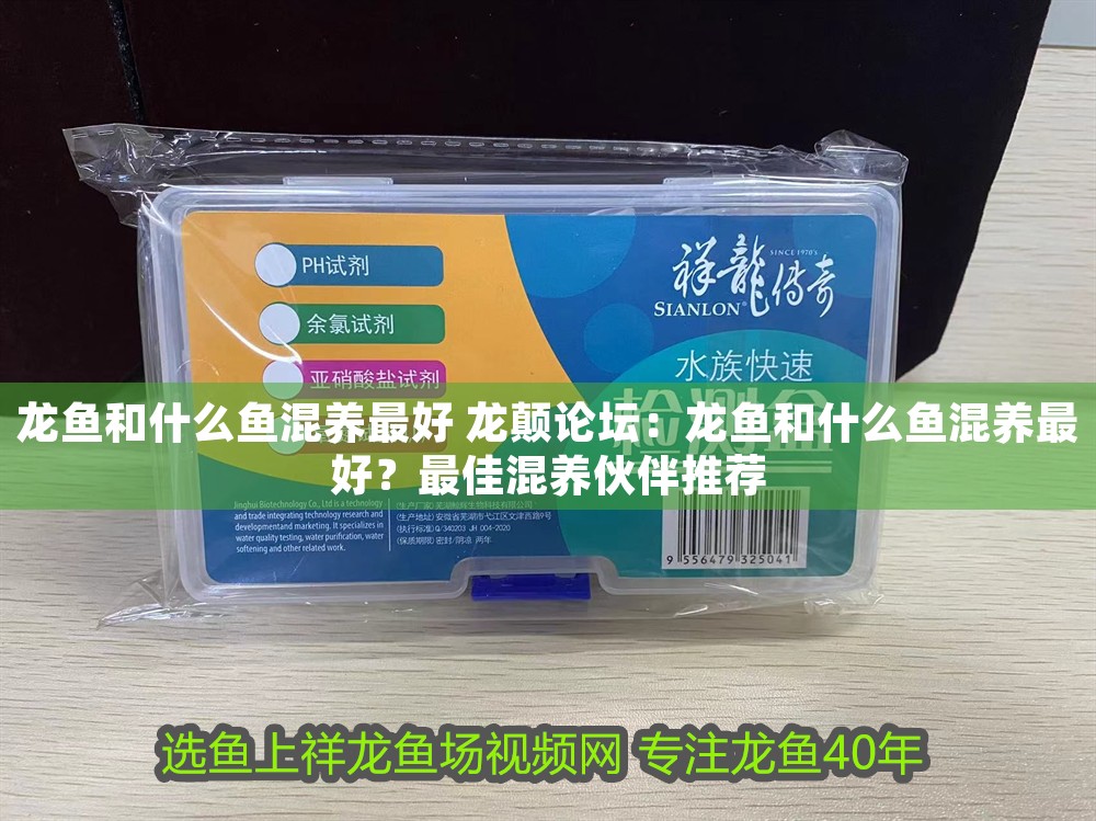 龍魚和什么魚混養最好 龍顛論壇：龍魚和什么魚混養最好？最佳混養伙伴推薦
