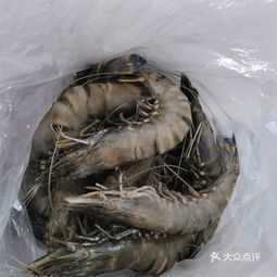 沈陽龍魚批發(fā)市場在哪里啊多少錢