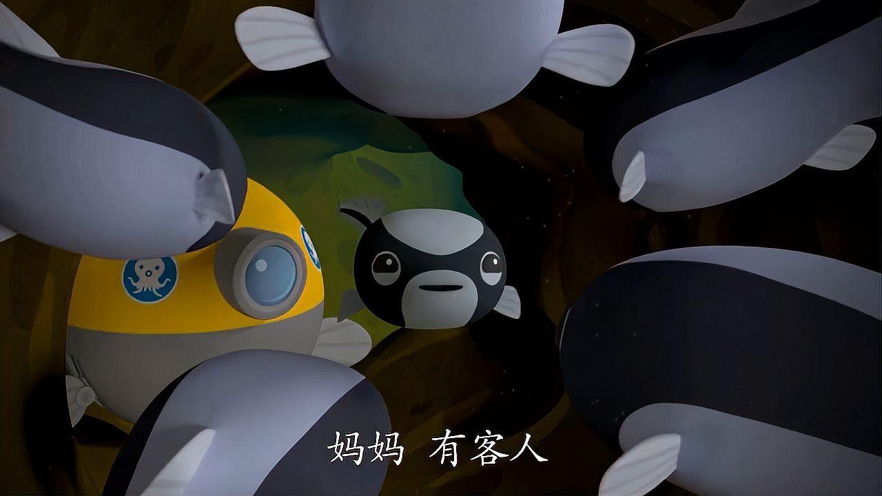 長的像龍魚的小型魚是什么