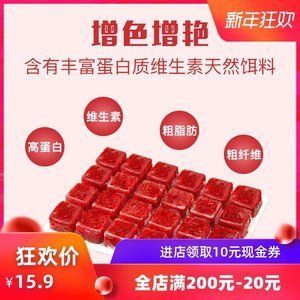 七彩龍魚不吃飼料：七彩龍魚不吃飼料可能是由于多種原因引起的