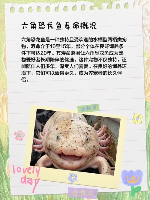 六角恐龍魚的壽命圖