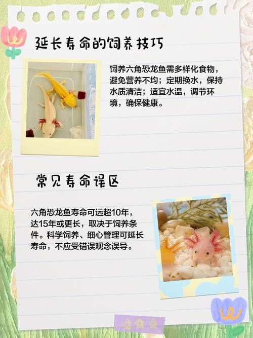 六角恐龍魚的壽命圖