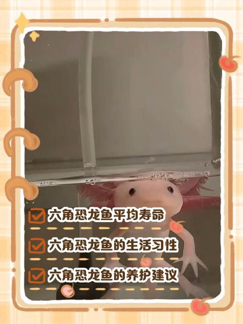 六角恐龍魚的壽命圖