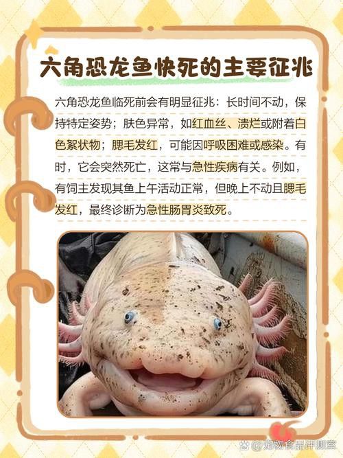 六角恐龍魚的壽命圖