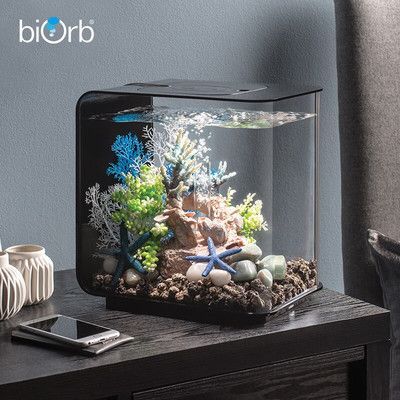 龍魚養殖條件要求高嗎：關于龍魚養殖條件的詳細介紹