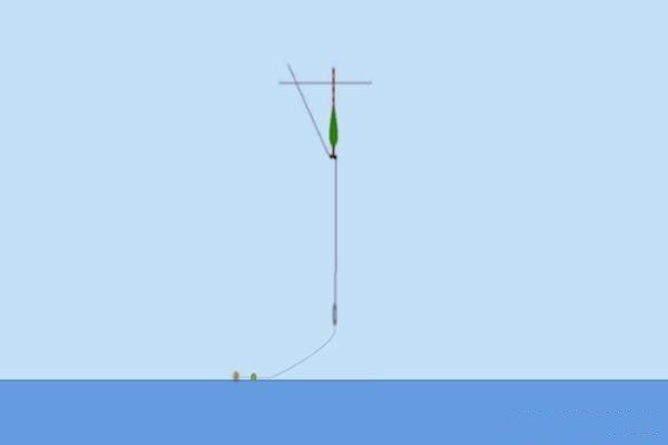 雷龍魚能跟什么魚混養(yǎng)（雷龍魚混養(yǎng)注意事項是確保水族箱和諧共存的關(guān)鍵）
