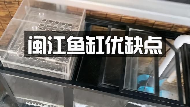 閩江魚缸屬于什么檔次 龍魚百科 第3張 閩江魚缸屬于什么檔次 閩江魚缸屬于什么檔次 龍魚百科 第3張