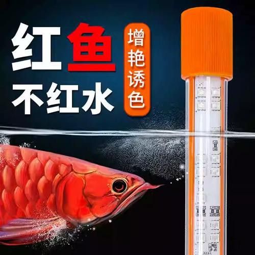 有哪些適合龍魚的誘色燈