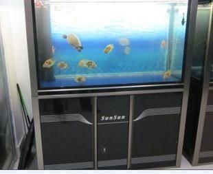 極品紅龍魚養一年后變化情況（極品紅龍魚大概多少錢）