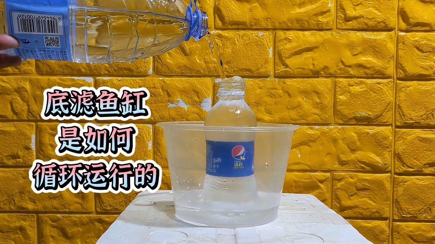 西龍魚缸底濾過濾原理