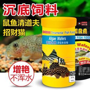 如何選擇適合招財貓魚的飼料：招財貓魚飼料品牌推薦