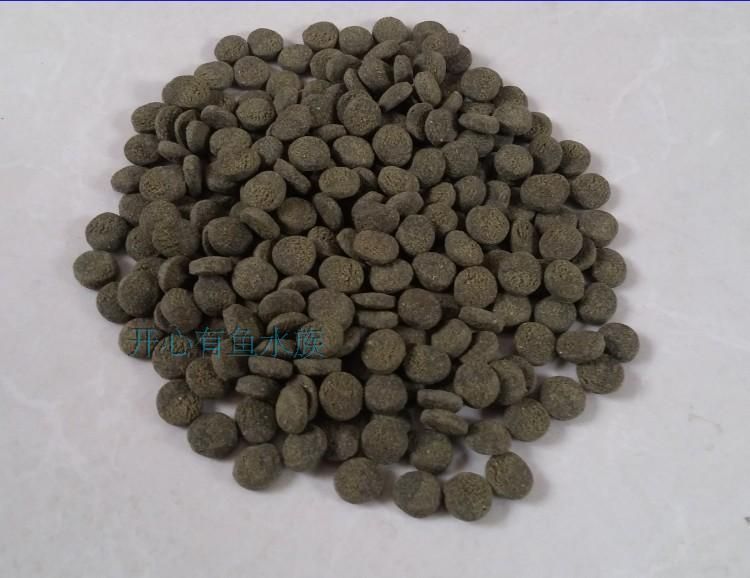 如何選擇適合招財貓魚的飼料：招財貓魚飼料品牌推薦