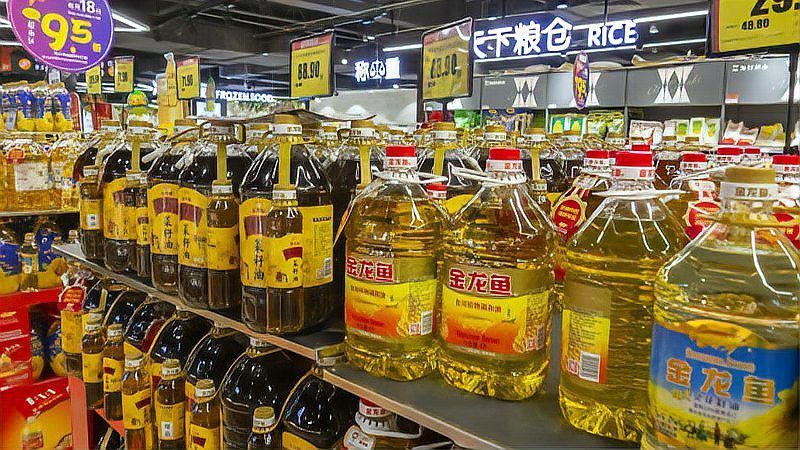 金龍魚上市預計會漲多少