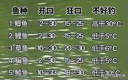 龍魚溫度多少度合適釣魚 龍魚溫度多少度合適釣魚 龍魚百科 第1張