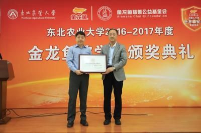 金龍魚獎學金答辯（如何準備金龍魚獎學金答辯）