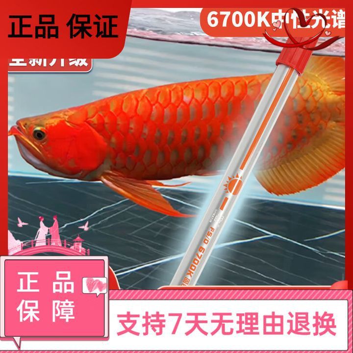 馬印固色燈6700k能增色嗎