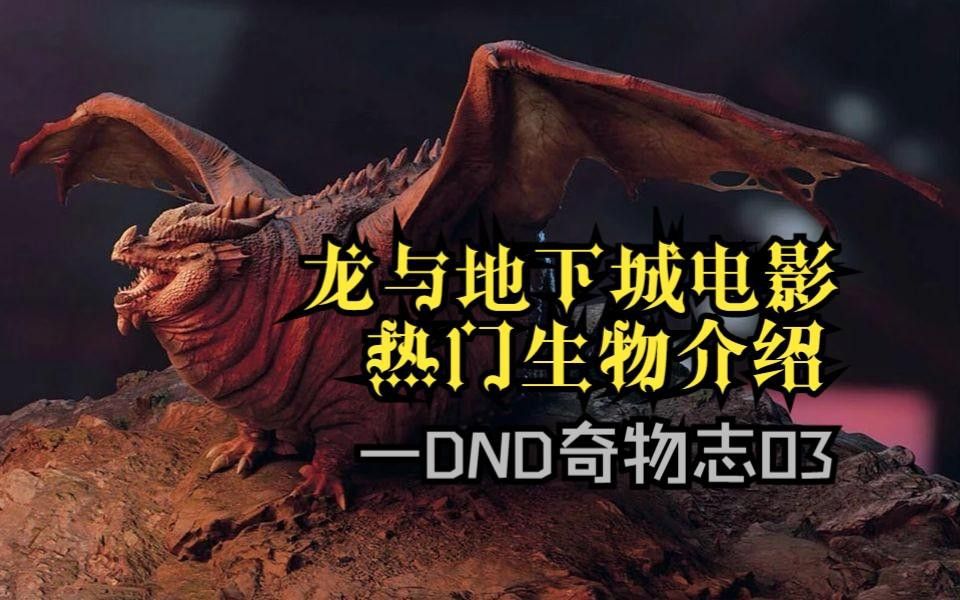 紅龍和金龍在《龍與地下城》中的詳細設定