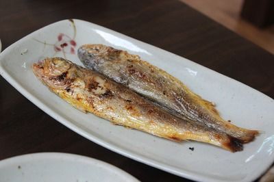 金龍魚需要打氧嗎為什么：金龍魚開缸初期注意事項(xiàng)