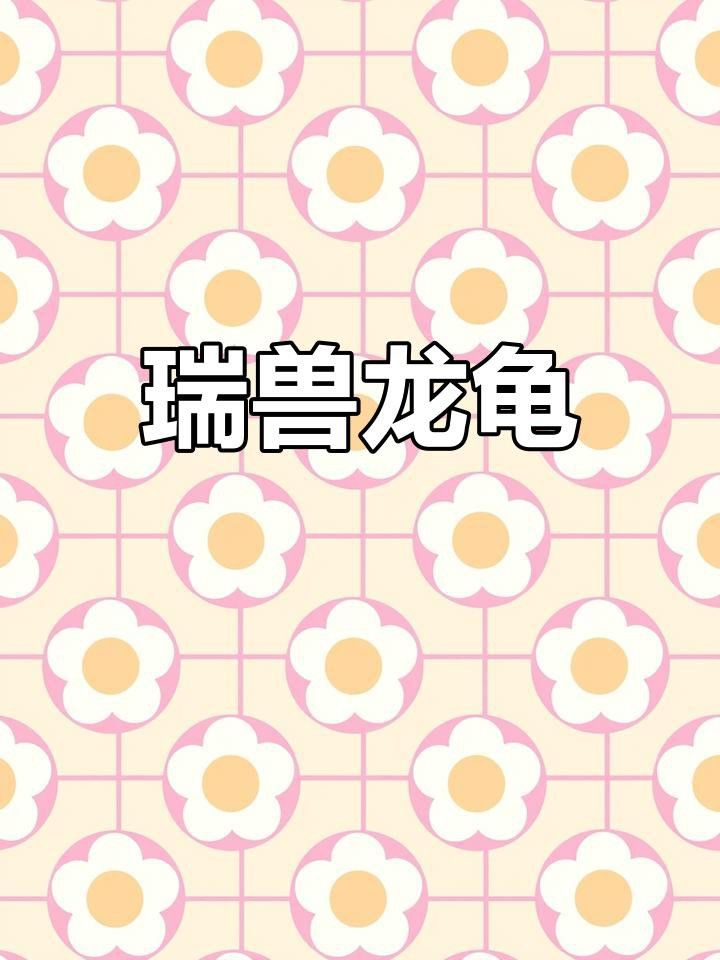 龍龜飾品有哪些寓意？