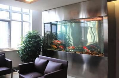 龍魚缸的燈放什么位置好：養(yǎng)龍魚時(shí)，魚缸燈最適合放在與水面平行光線和魚缸成45度角的位置