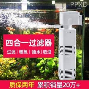 金龍魚品級 金龍魚品級 龍魚百科